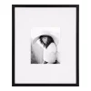 Picture Frames DesignOvation Gallery 16 In. X 20 In. Matted To 8 In. X 10 In. Black Picture Frame -Brita shop black designovation picture frames 216721 64 1000