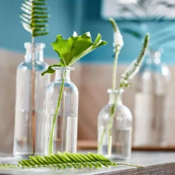 3R Studios Glass Bottle Vases With Tray (Set Of 5) 9 3R Studios Glass Bottle Vases With Tray (Set Of 5) -Brita shop clear 3r studios vases da2672 4f 1000