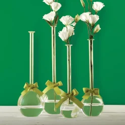 Two’s Company 4-Sizes Sleek And Chic With Sage Green Ribbon Includes Clear Bubble Vases ( Set Of 4)