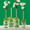 Two’s Company 4-Sizes Sleek And Chic With Sage Green Ribbon Includes Clear Jug Vases (Set Of 4) -Brita shop clear two s company vases 7479 64 1000