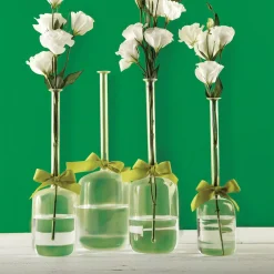 Two’s Company 4-Sizes Sleek And Chic With Sage Green Ribbon Includes Clear Jug Vases (Set Of 4)