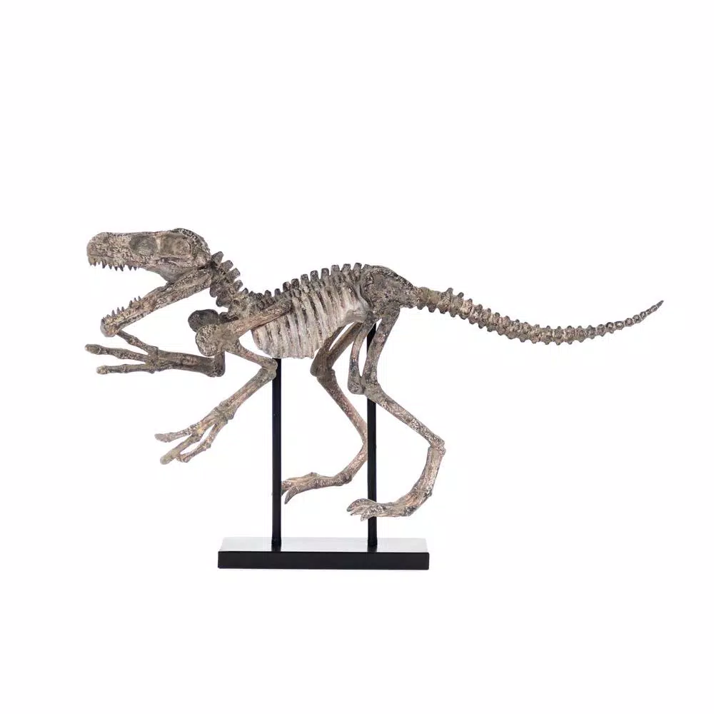 Sculptures Zentique Polyresin Distressed Brown/Grey Velociraptor On Black Base 4 Sculptures Zentique Polyresin Distressed Brown/Grey Velociraptor On Black Base - Image 2