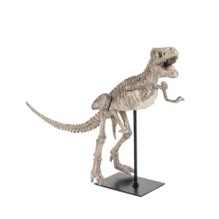 Sculptures Zentique Polyresin Cast Distressed Brown/ Grey Tyrannosaurus Rex Skeleton W/Base 8 Sculptures Zentique Polyresin Cast Distressed Brown/ Grey Tyrannosaurus Rex Skeleton W/Base -Brita shop distressed brown grey zentique sculptures shi011 4f 1000