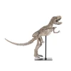 Sculptures Zentique Polyresin Cast Distressed Brown/ Grey Tyrannosaurus Rex Skeleton W/Base -Brita shop distressed brown grey zentique sculptures shi011 64 1000