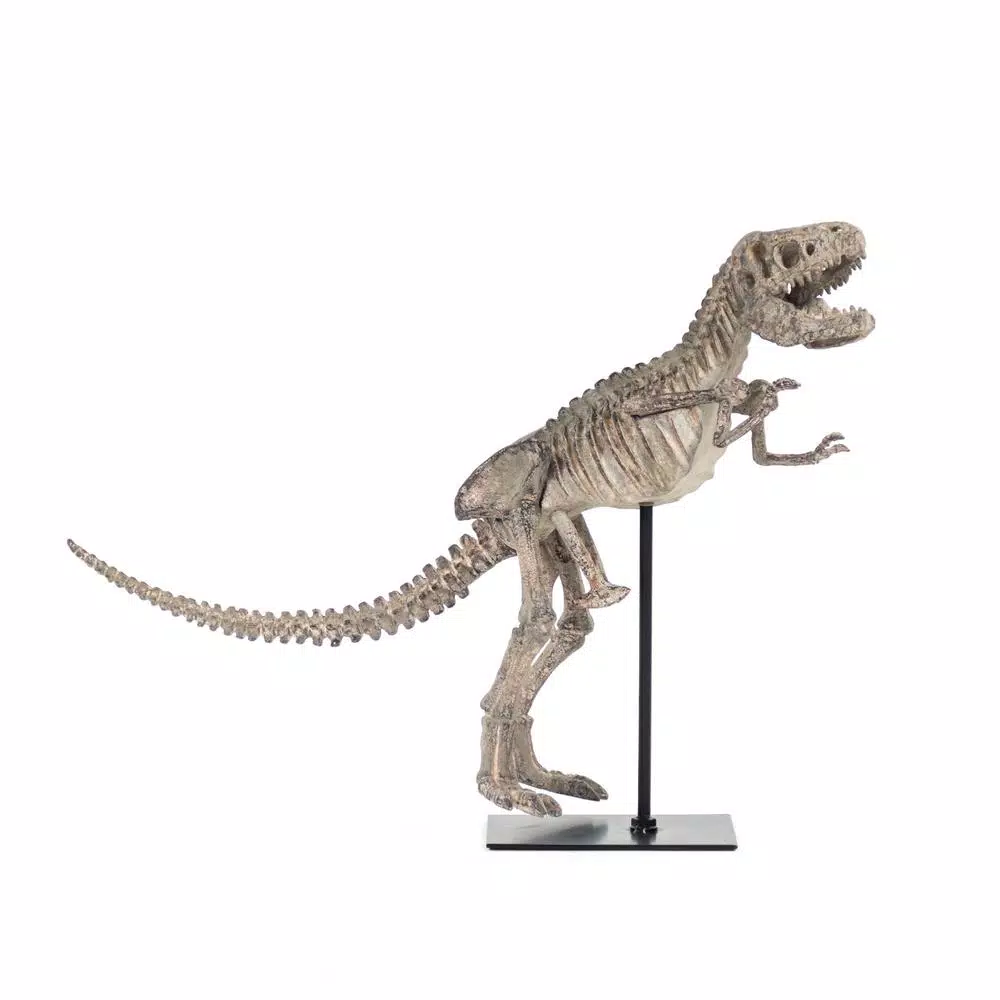 Sculptures Zentique Polyresin Cast Distressed Brown/ Grey Tyrannosaurus Rex Skeleton W/Base 4 Sculptures Zentique Polyresin Cast Distressed Brown/ Grey Tyrannosaurus Rex Skeleton W/Base - Image 2