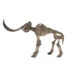 Sculptures Zentique Polyreson Cast Distressed Brown/Grey Mammoth Skeleton -Brita shop distressed brown grey zentique sculptures shi012 64 1000