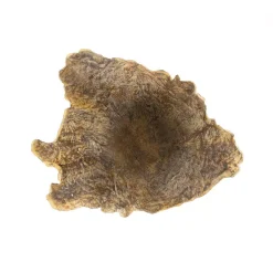 Sculptures Zentique Small Wooden Tree Trunk Sculpture In Distressed Brown Finish -Brita shop distressed brown zentique sculptures shi045 1f 1000