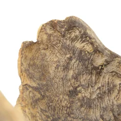 Sculptures Zentique Small Wooden Tree Trunk Sculpture In Distressed Brown Finish -Brita shop distressed brown zentique sculptures shi045 44 1000