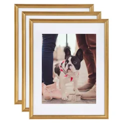 Kate And Laurel Adlynn 14 In. X 18 In. Matted To 11 In. X 14 In. Gold Picture Frames (Set Of 3)