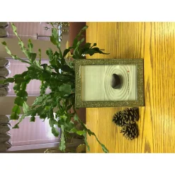 Picture Frames Heim Concept Chrome Pl. 4 In. X 6 In. Bling Border Picture Frame -Brita shop metal heim concept picture frames 81214 31 1000