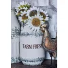 Vases LITTON LANE White Iron Milk Cans With Handles (Set Of 2) -Brita shop white litton lane vases 98475 64 1000